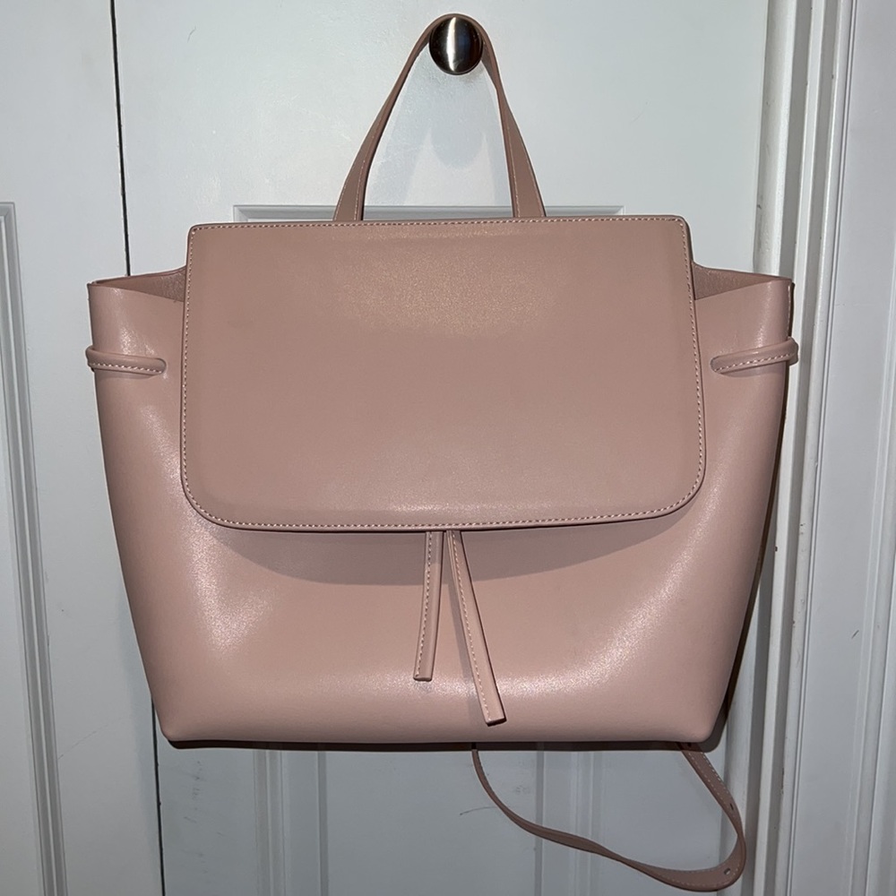 Blush Purse